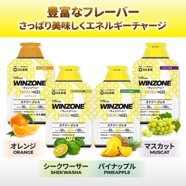 日本新薬ヘルスケア WINZONE ウィンゾーン エナジージェル