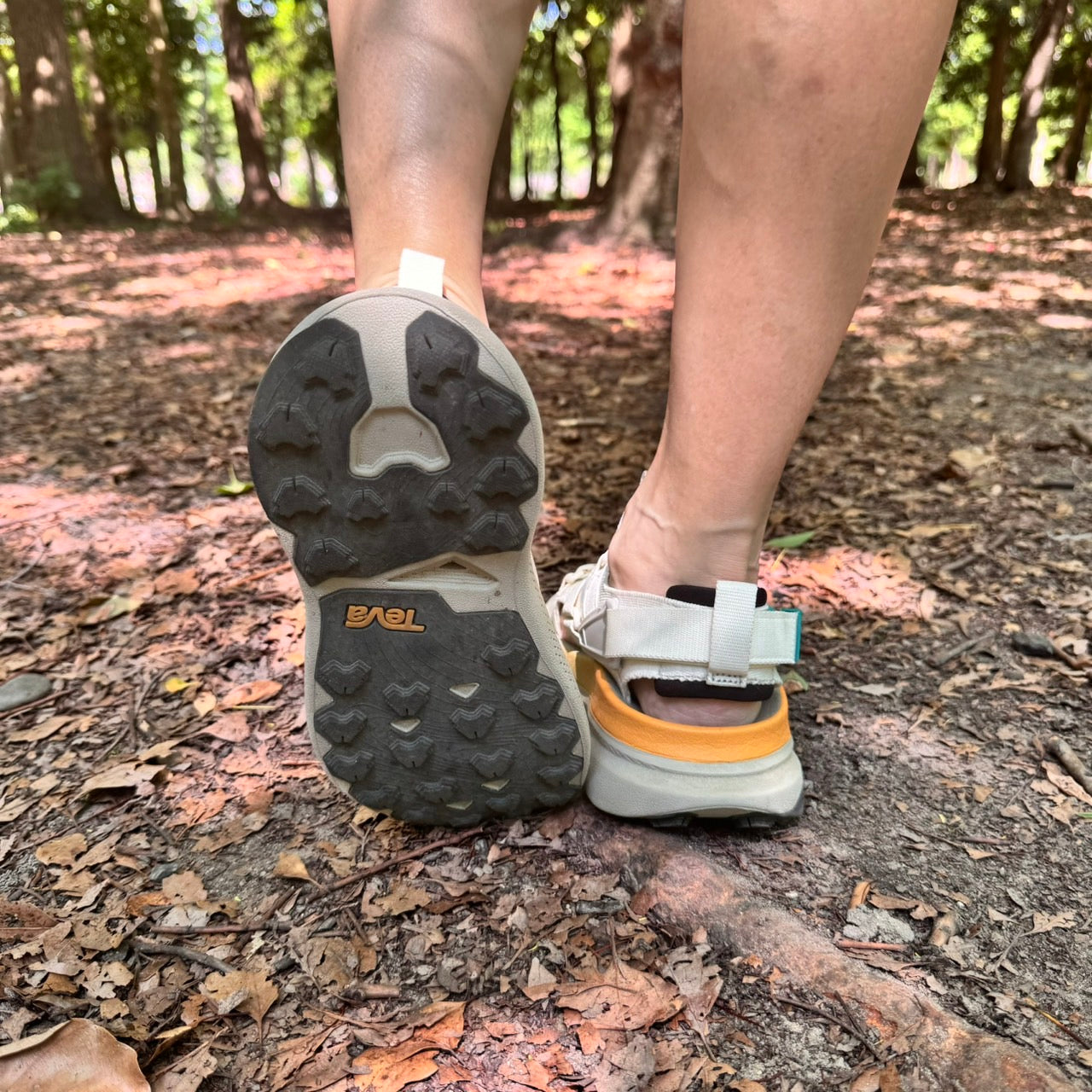 【2025 新色】TEVA/テバ Aventrail Sandal /アベントレイル サンダル(レディース)