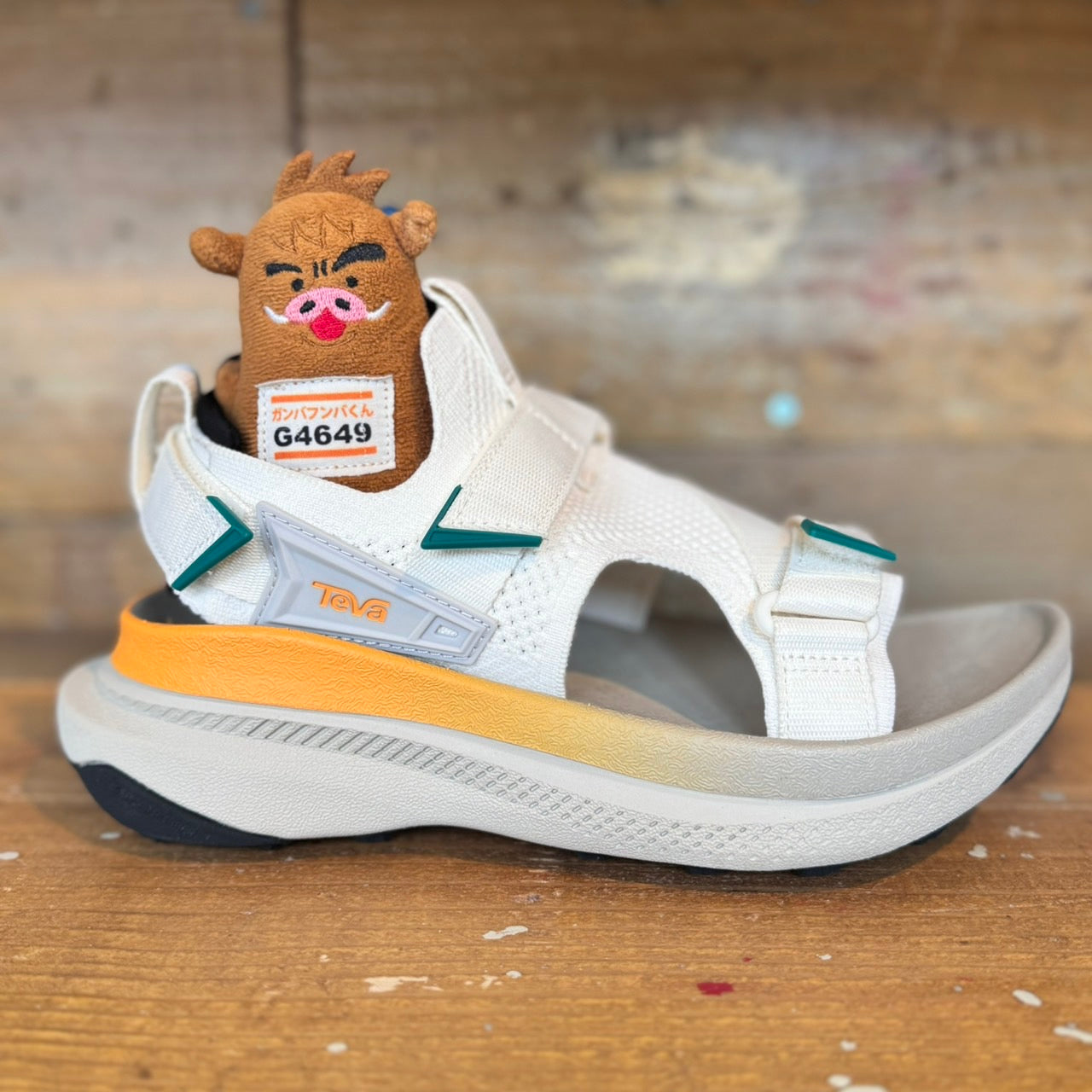 【2025 新色】TEVA/テバ Aventrail Sandal /アベントレイル サンダル(レディース)