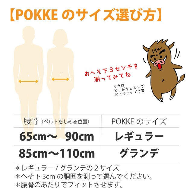 \キャンペーン延長/ 30%OFF ”スポーツボトルセット"/YURENIKUI POKKE /ユレニクイ ポッケ(2024モデル)