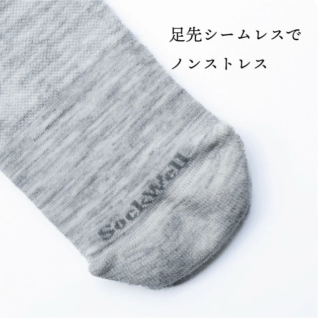 【2024 秋】sockwell/ソックウェル SW165W FEATHERWEIGHT DOT(ウィメンズ S-Mサイズ)