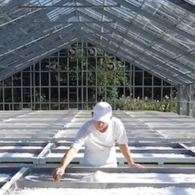 ZEN/ゼン 海塩(かいえん)