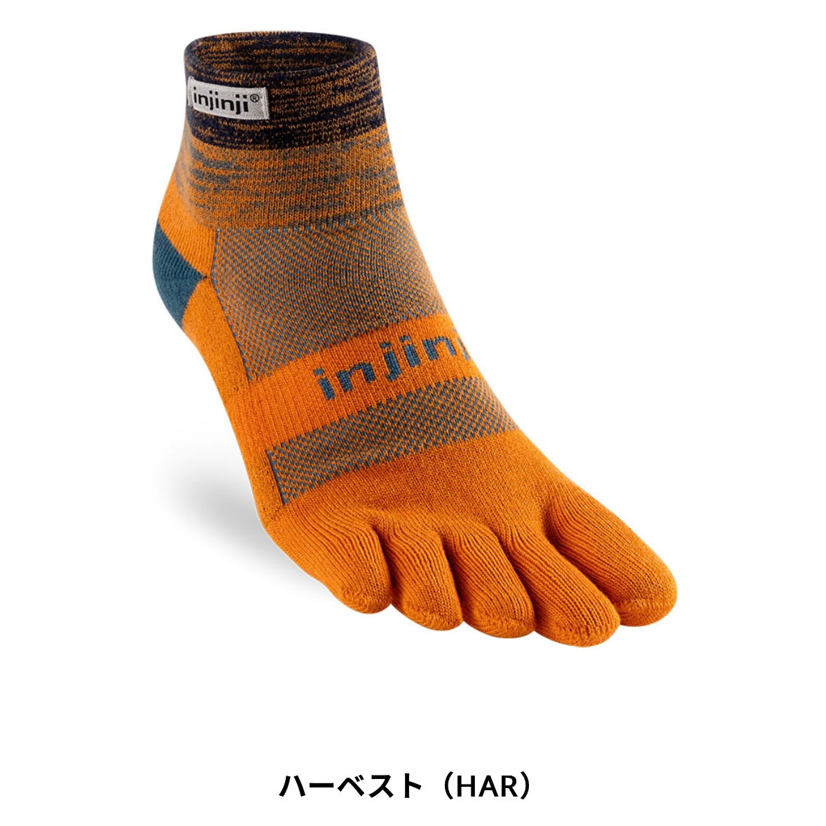 【2024秋 新色】injinji /インジンジ トレイルミッドウェイト ミニクルー(ユニセックス)213130