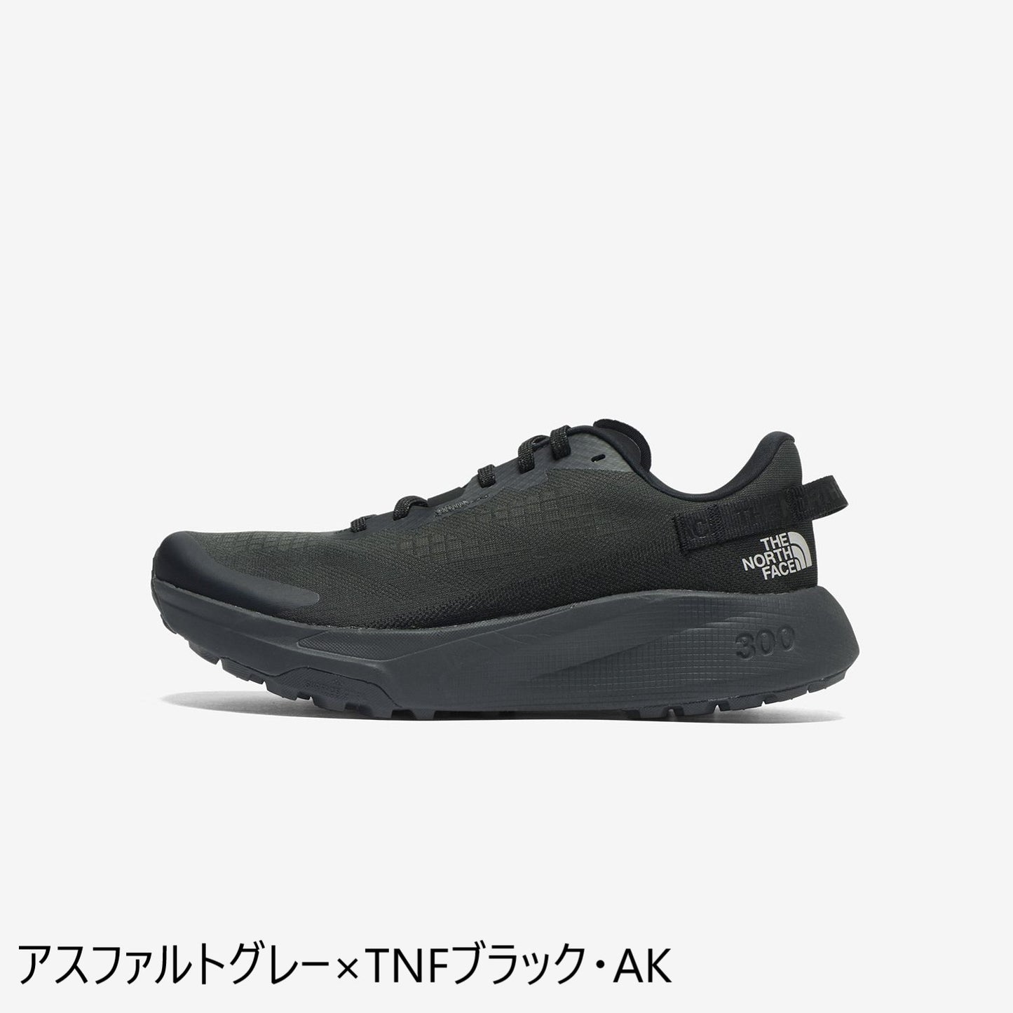 2024秋 NEW THE NORTH FACE/ノースフェイス アルタメサ300(メンズ)
