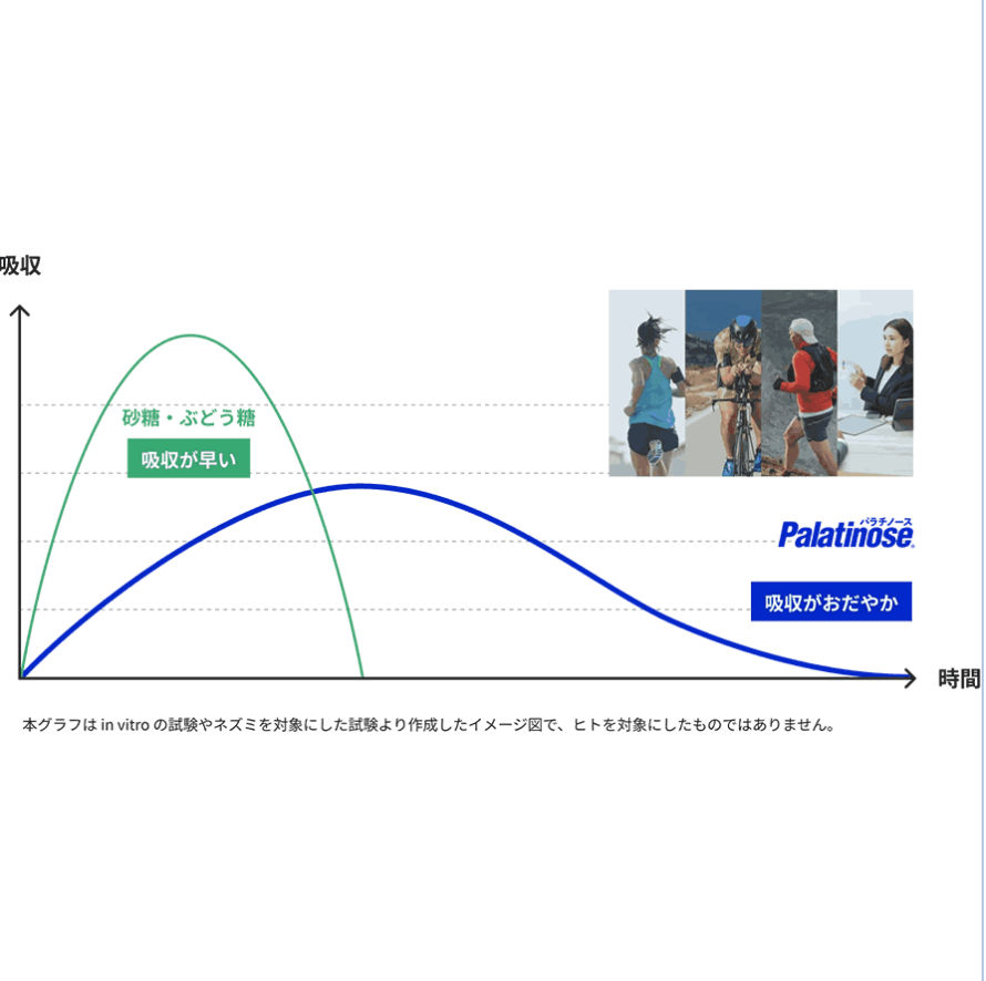 パラチノース ピュア パラスティック(1袋 バラ)