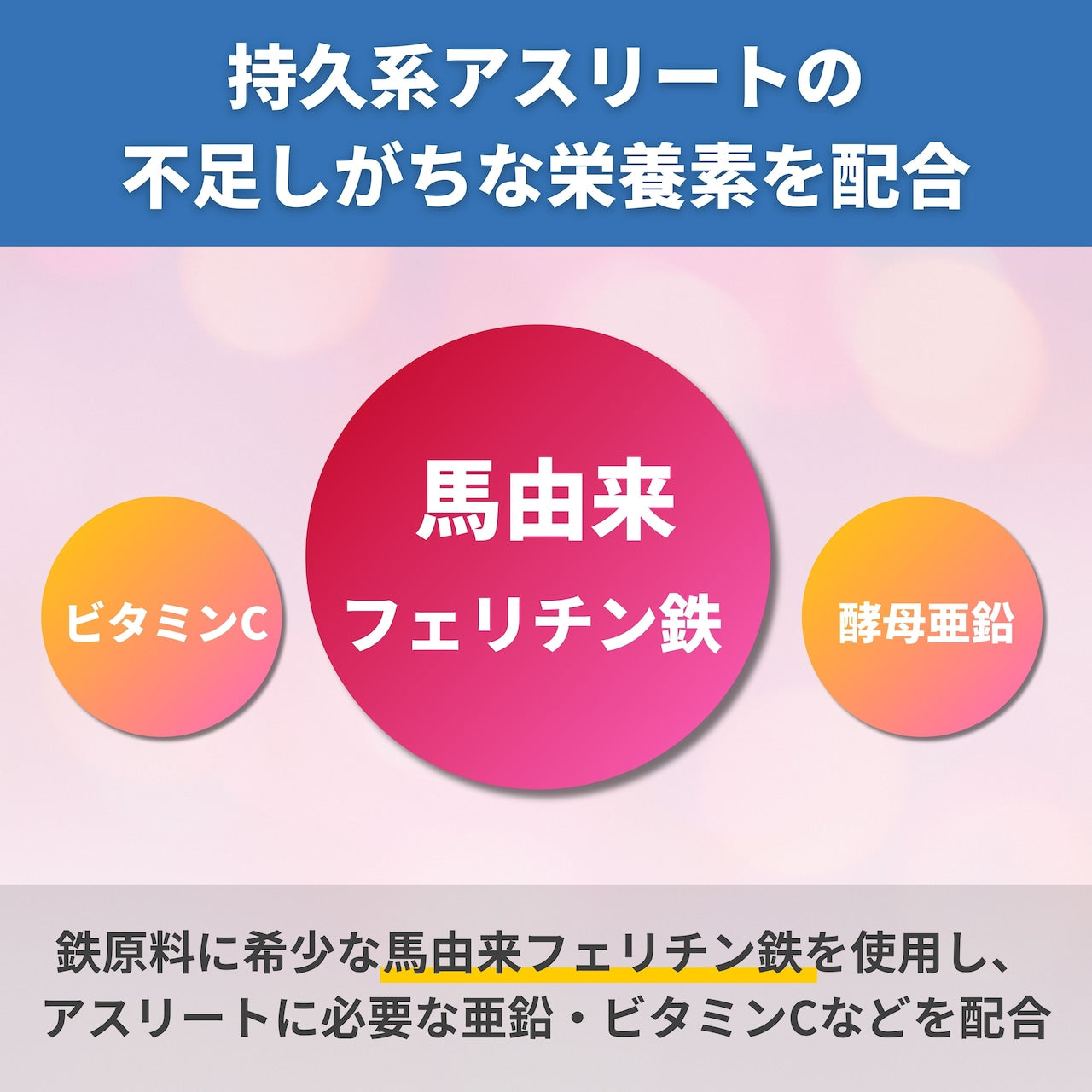【リニューアル】junap / ジュナップ Ferritin Ace フェリチン エース (約31日分)