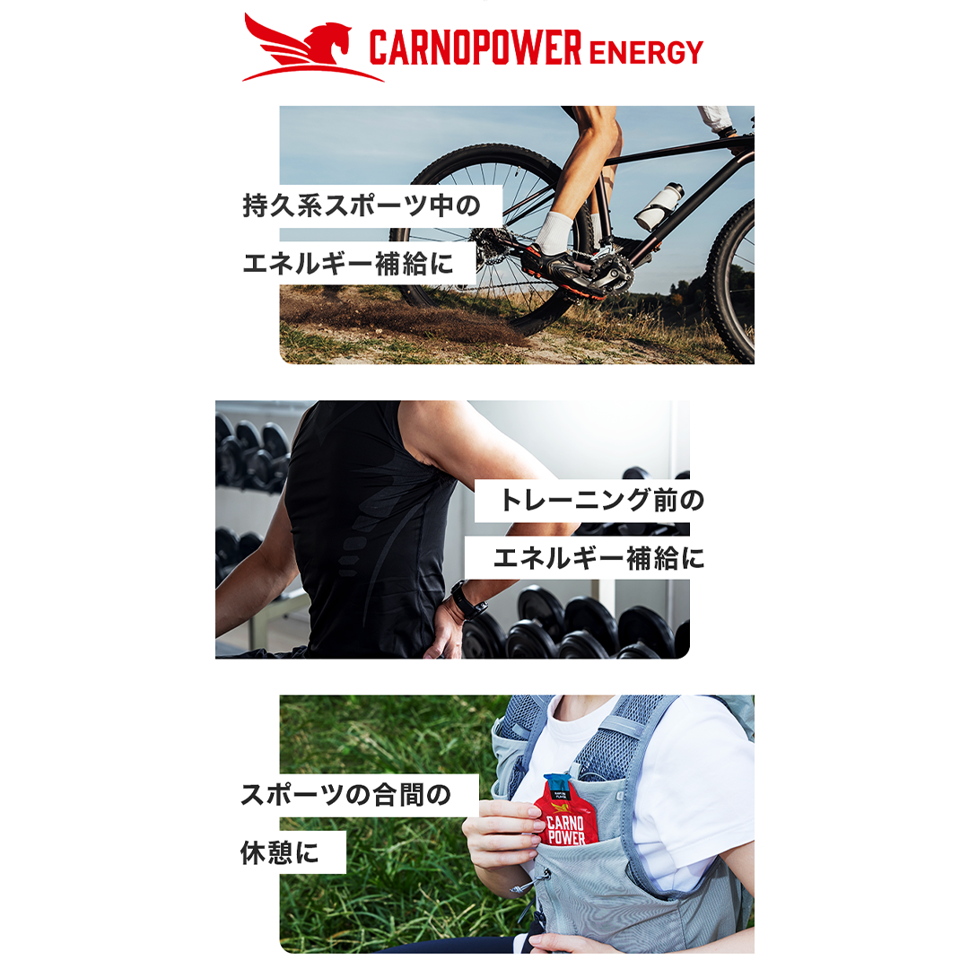 ハマリ薬品 / カルノパワージェル ジンジャー味(バラ売り)