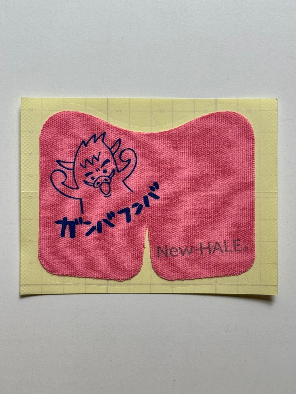 RWS×New‐HALE ガンバフンバくんのニーダッシュ(8色あり)