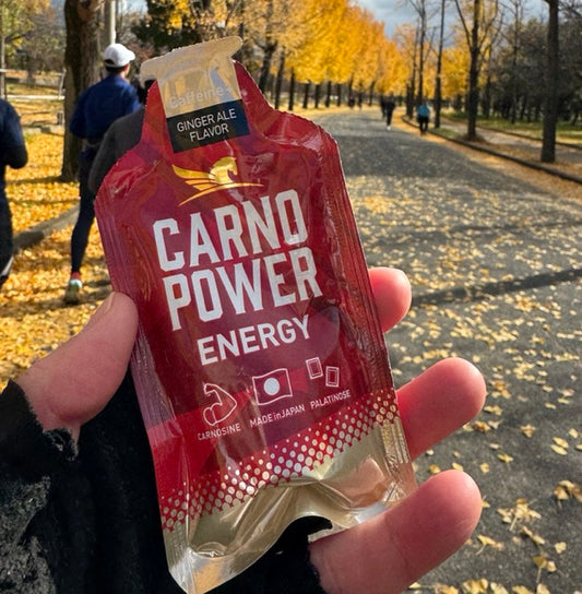 ハマリ薬品 / カルノパワージェル ジンジャー味(バラ売り)