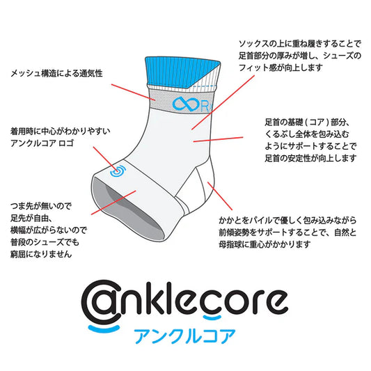 R×L / アールエル anklecore アンクルコア(左右一組: フリーサイズ)RLA9801
