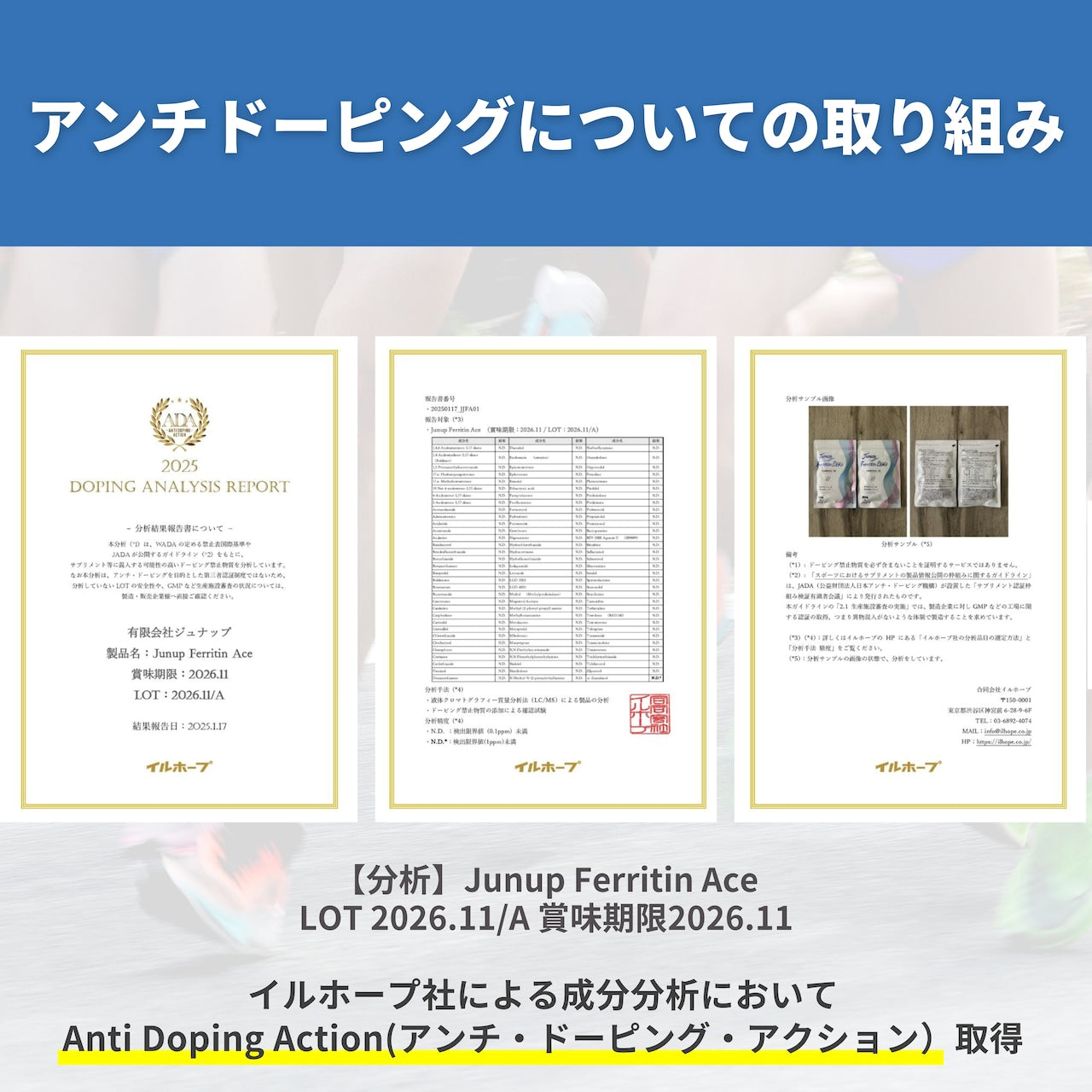 【リニューアル】junap / ジュナップ Ferritin Ace フェリチン エース (約31日分)