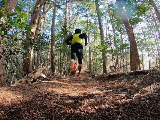 HOKA EVO MAFATE2（エボ マファテ2) でTRAILへ！ ヤンチャ坊主のようなシューズで楽しく山遊びした、ちっちゃいおっちゃん