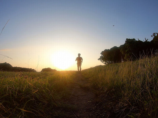 629の朝TRAIL  入道ヶ岳～鎌ヶ岳ぐるり