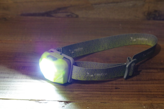 新しいヘッデンが仲間入り！！milestone。