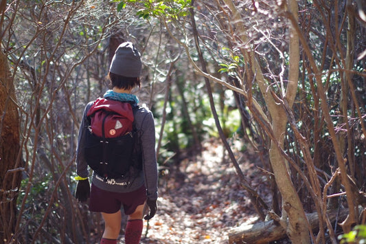 僕らの道しるべ
