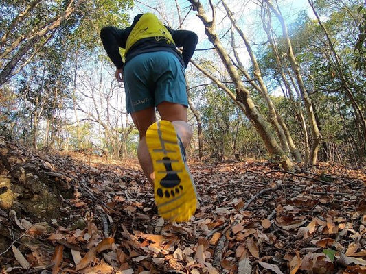 ALTRA TIMP2.0 早速インプレへ！ 期待通りの使いやすさ・走りやすさ！ 自信を持っておすすめできる1足です　