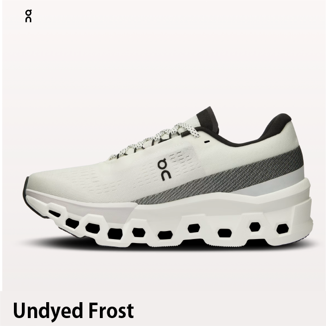 2024】On/オン Cloudmonster 2 /クラウドモンスター 2 2024】On/オン Cloudmonster 2 /クラウドモンスター 2