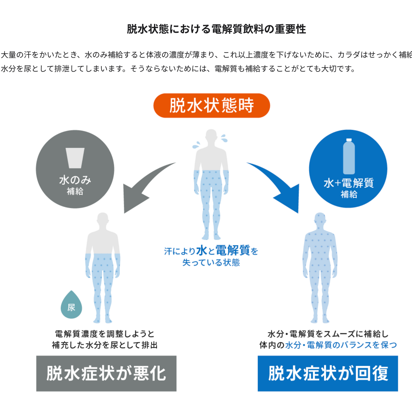 Precision / プレシジョン PH 1000 電解質タブレット（1本/10錠入）
