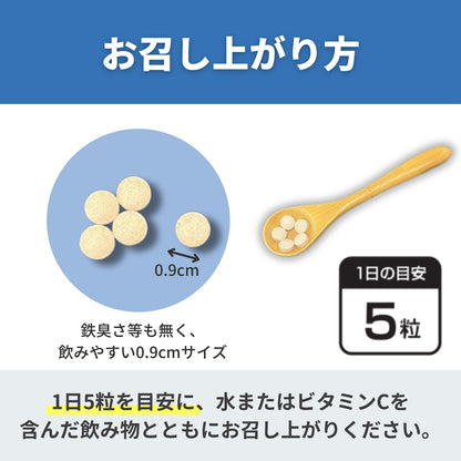 【リニューアル】junap / ジュナップ フェリチン Ace  MINI エース ミニ（2週間トライアル）