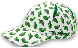 【2026.01】SPRINTS / スプリンツ  Turbo Turtle