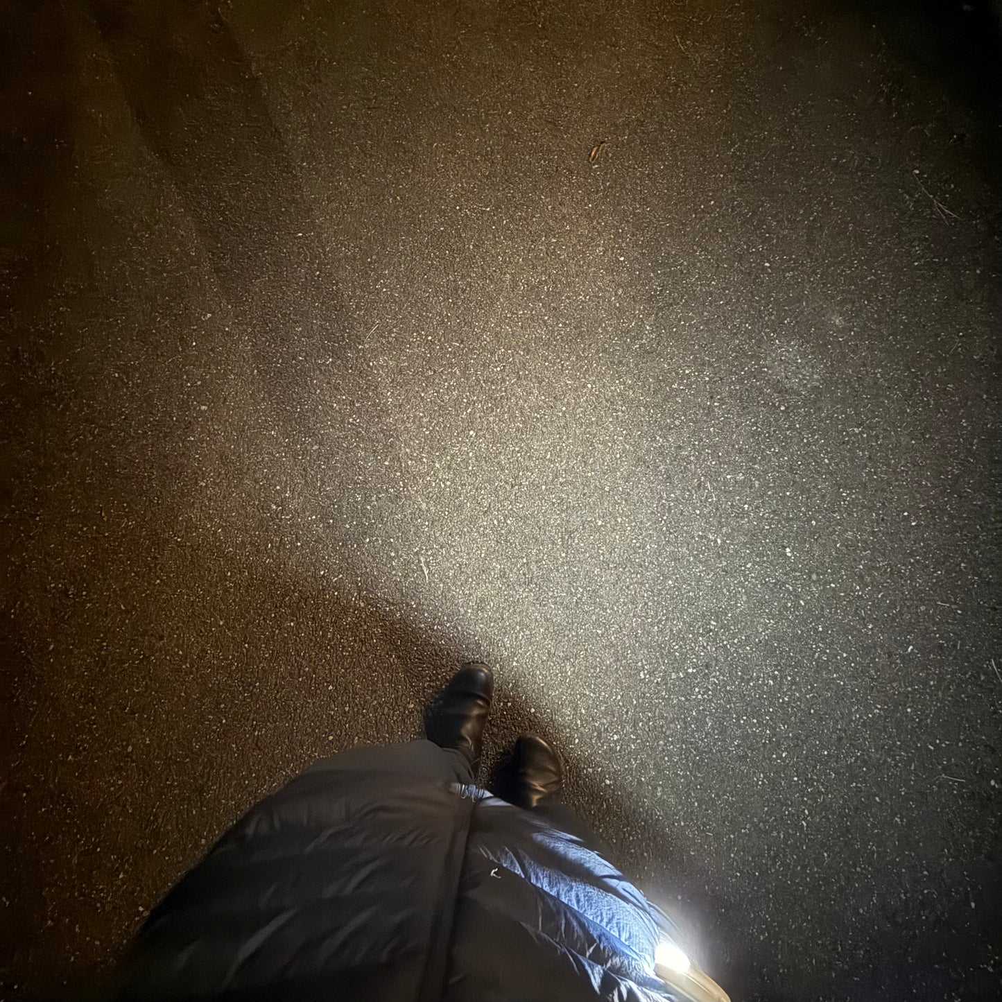 BOOKMAN/ブックマン ライト ECLIPSE