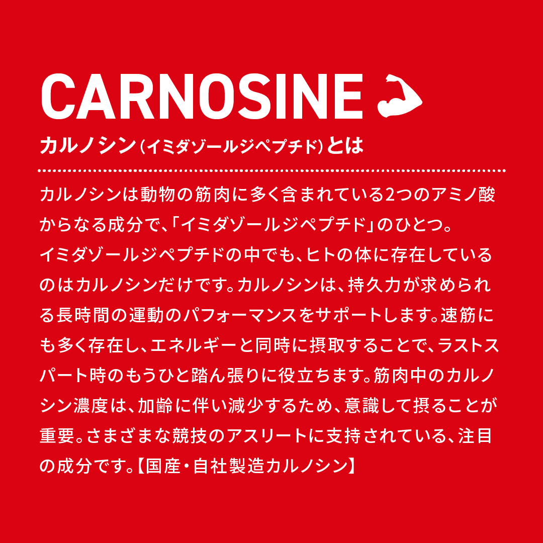 9/25発売 ハマリ薬品 / カルノパワージェル メロンソーダ味（バラ売り）