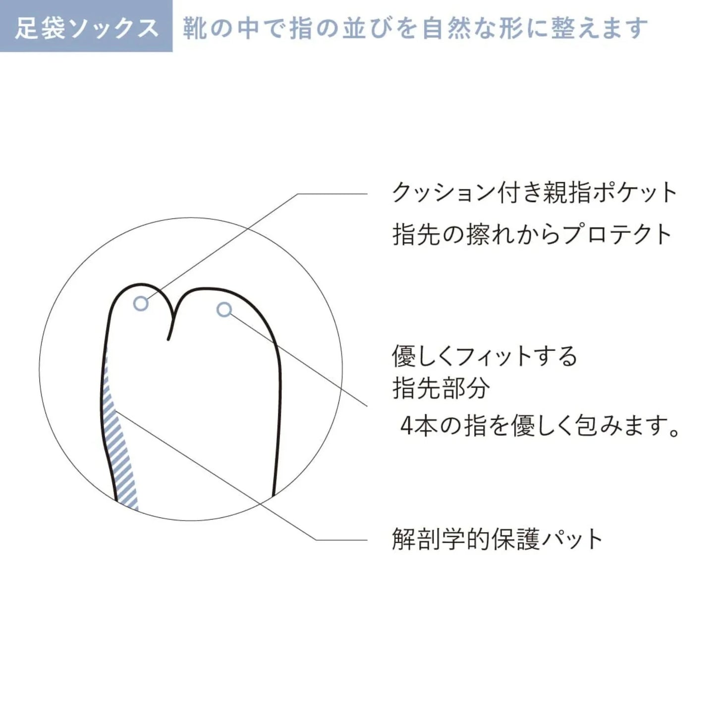 【2026春夏】Sockwell / ソックウェル（ウィメンズ）[SW27W] REVOLUTION