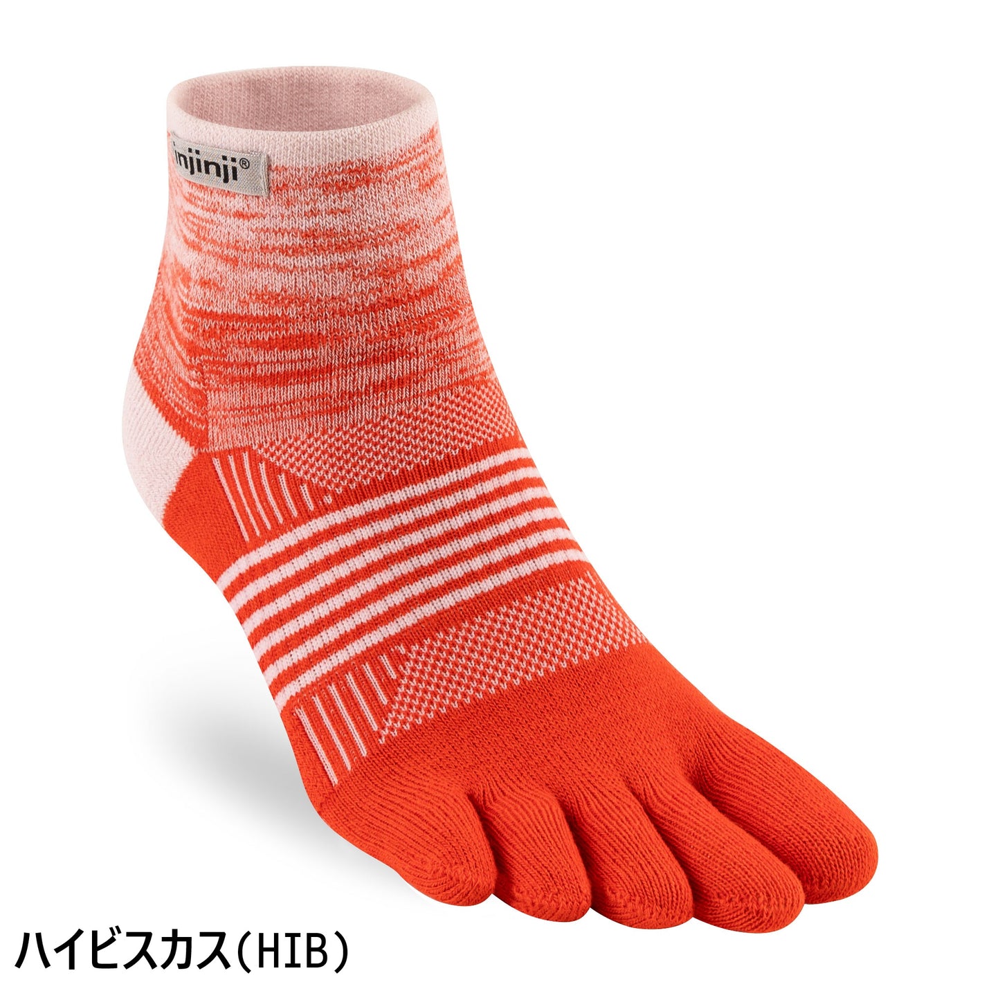 【2025秋冬 新色】injinji /インジンジ トレイルミッドウェイト ミニクルー（ウィメンズ）213131