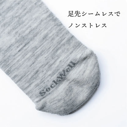 【2026春夏】Sockwell / ソックウェル（ウィメンズ）[SW186W] INTERWEAVE Ladies